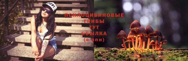 дживик Абинск
