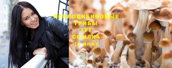 дживик Абинск