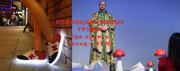 шишки Абаза