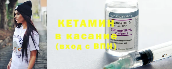 шишки Абаза