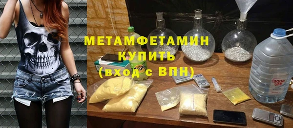 шишки Абаза