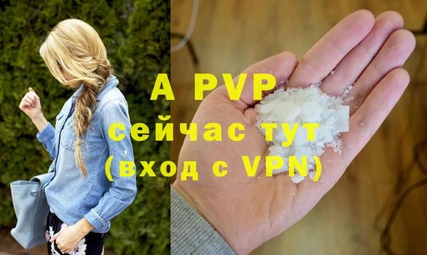 шишки Абаза