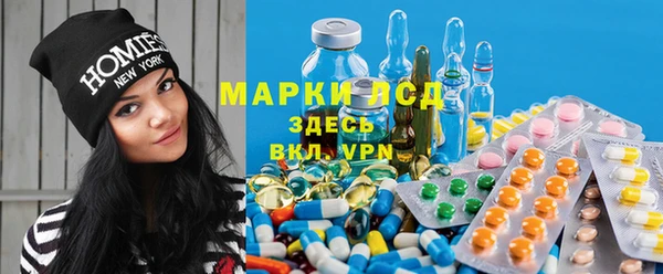 шишки Абаза