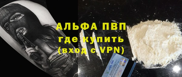шишки Абаза