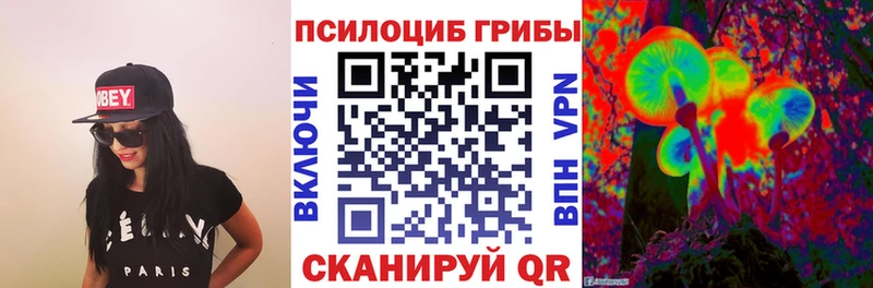 Галлюциногенные грибы Psilocybe  Ангарск 